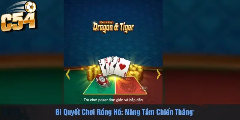 Bí quyết chơi rồng hổ tại C54 nâng tầm chiến thắng 