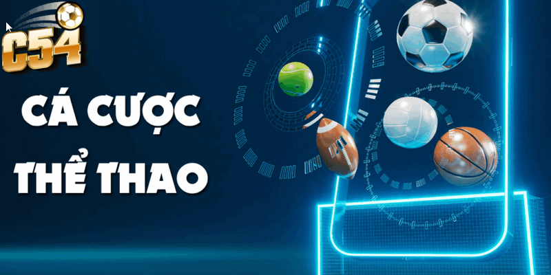 Cá cược thể thao tại C54 hàng loạt bộ môn hấp dẫn